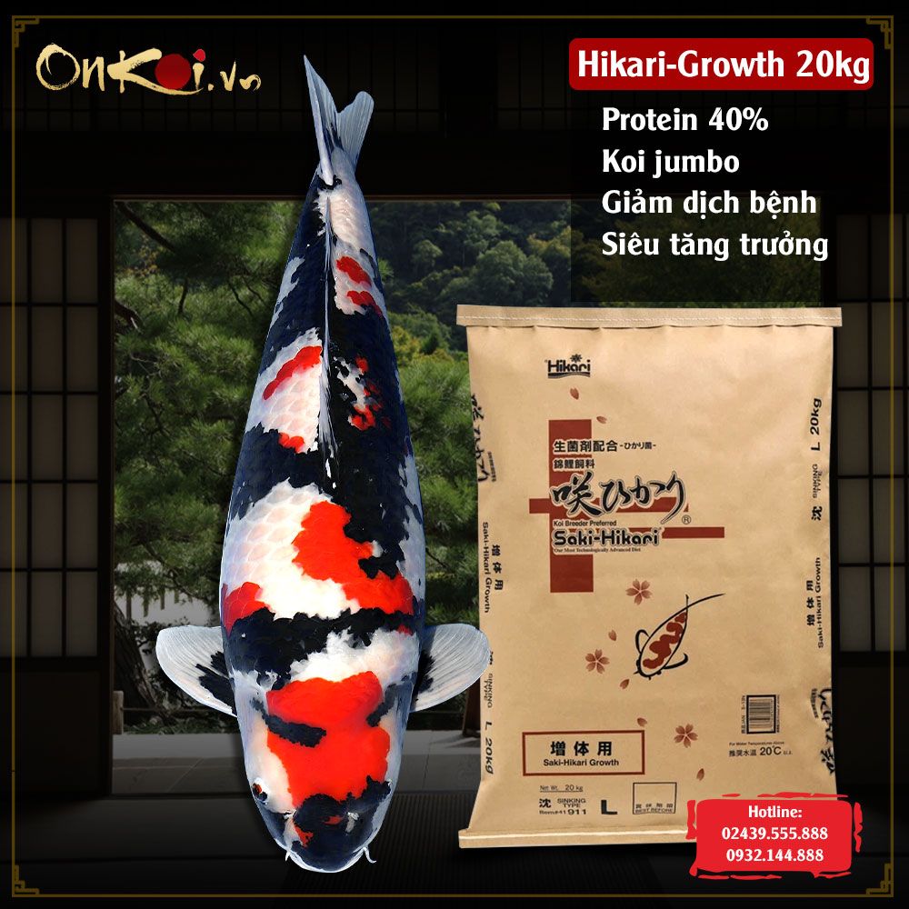 Hikari-growth protein 40% thức ăn cho cá koi tăng trưởng vip 20kg (hạt chìm) CA10