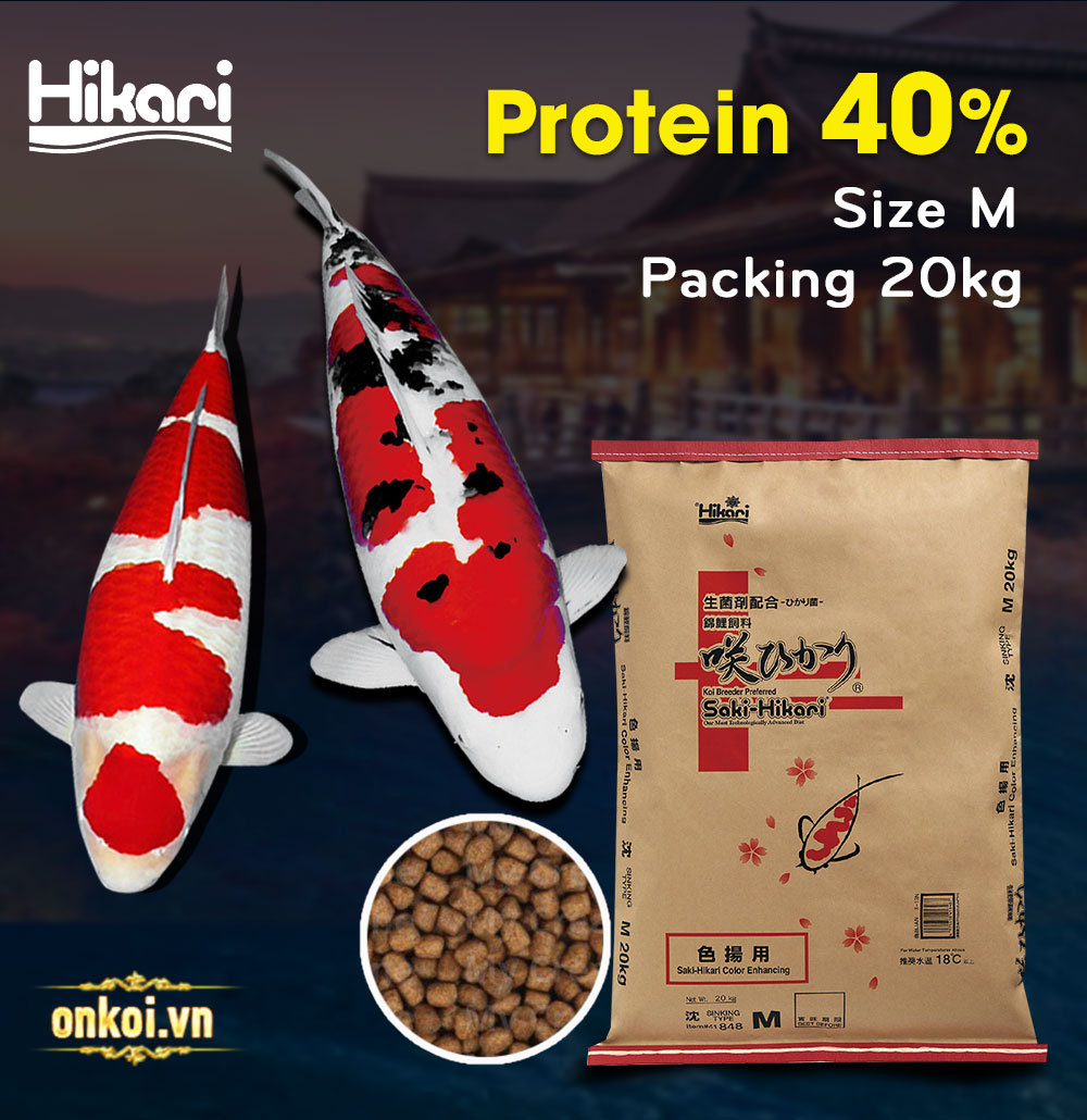 hikari-color 40% protein hạt chìm