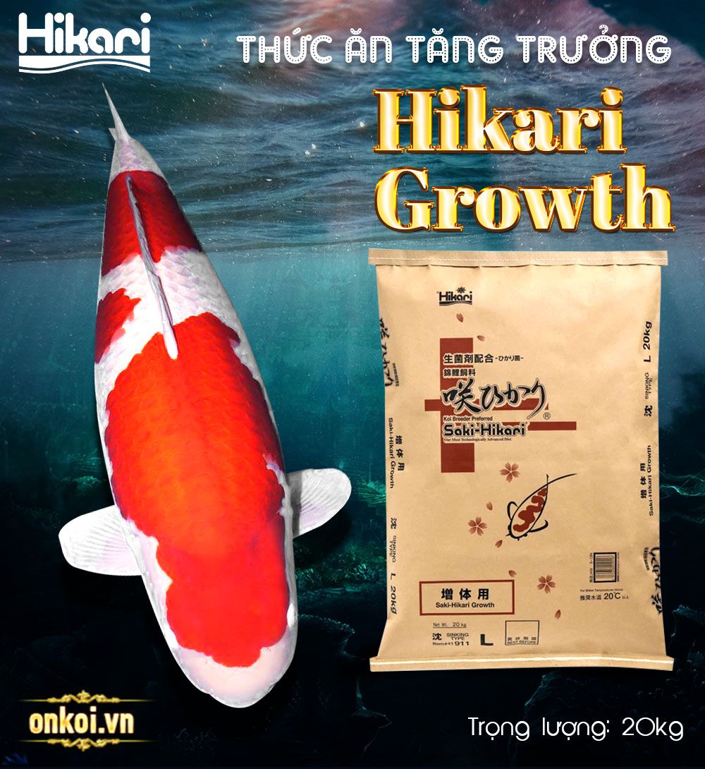 ct hikari growth 01
