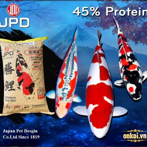JPD - Shori chứa 45% protein siêu tăng màu và body