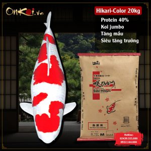 Hikari-color protein 40% vip 6 thức ăn cá koi tăng trưởng hạt chìm bao 20kg CA09