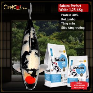 Sakura-Perfect White Protein 40% 1.25 đến 4 kg/bao hạt nổi