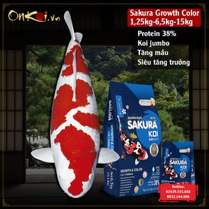 Cám cá Koi Sakura- Growth & Color tăng trưởng, tăng màu hạt nổi 38% protein